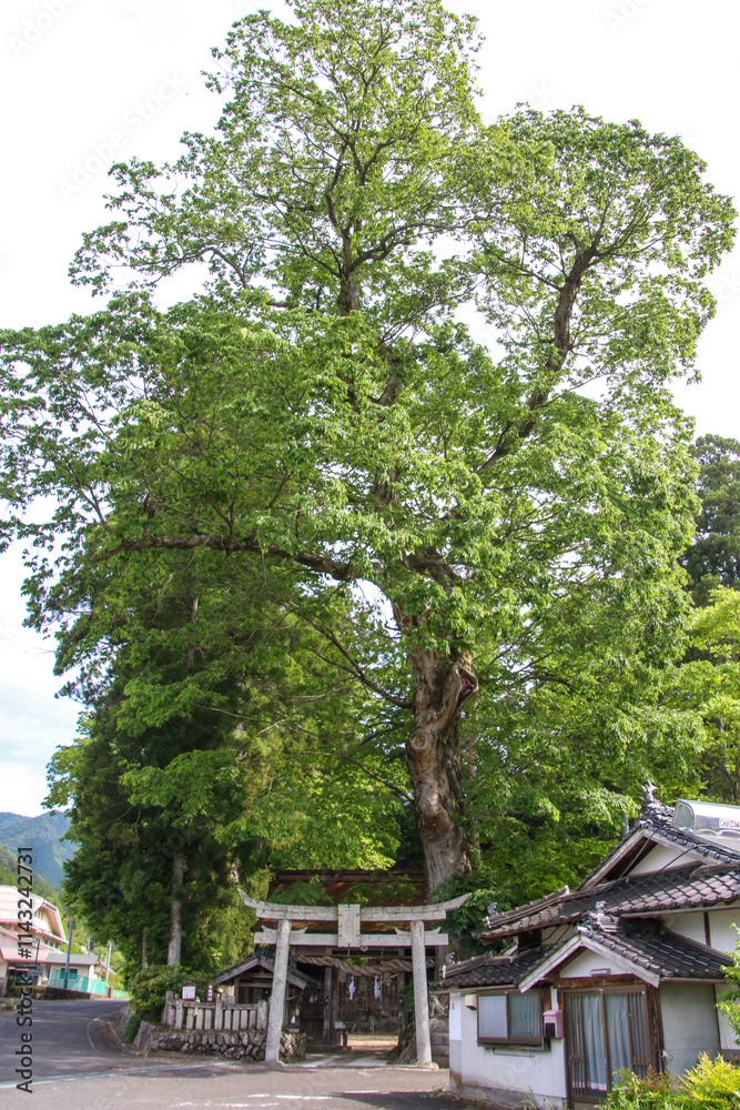 布施神社 布施神社