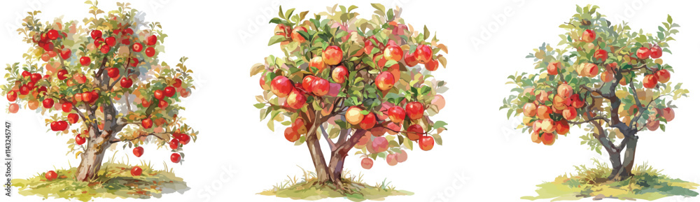 apple tree watercolor clipart