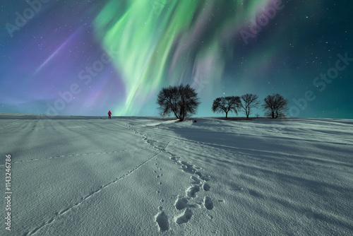 Lone figure under the aurora in a snowy winter landscape photo