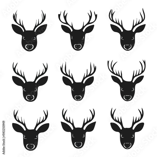 Photography set of animals head vector style