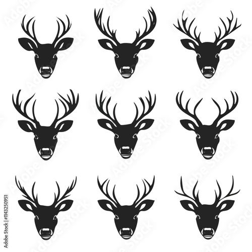 Photography set of animals head vector style