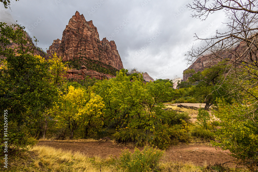 Fototapeta premium Majestic sandstone formations at Zion National Park on a cold and misty day.
