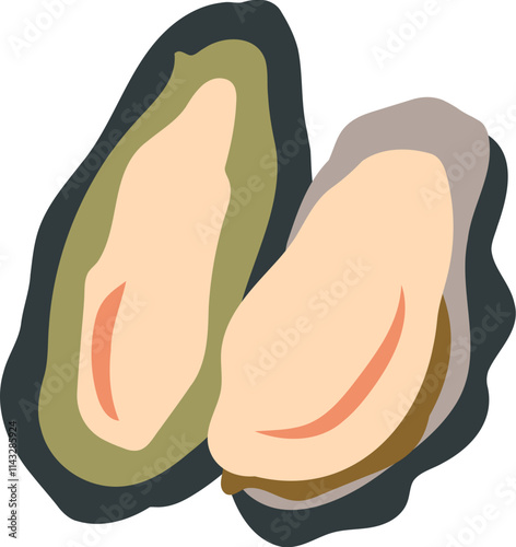 oyster illustration