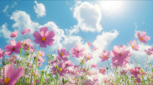 Sea of flowers natural light closeup sunshine and blue sky8K simple and bright style film composition news photography rich details F8 aperture hyperrealism realist photo