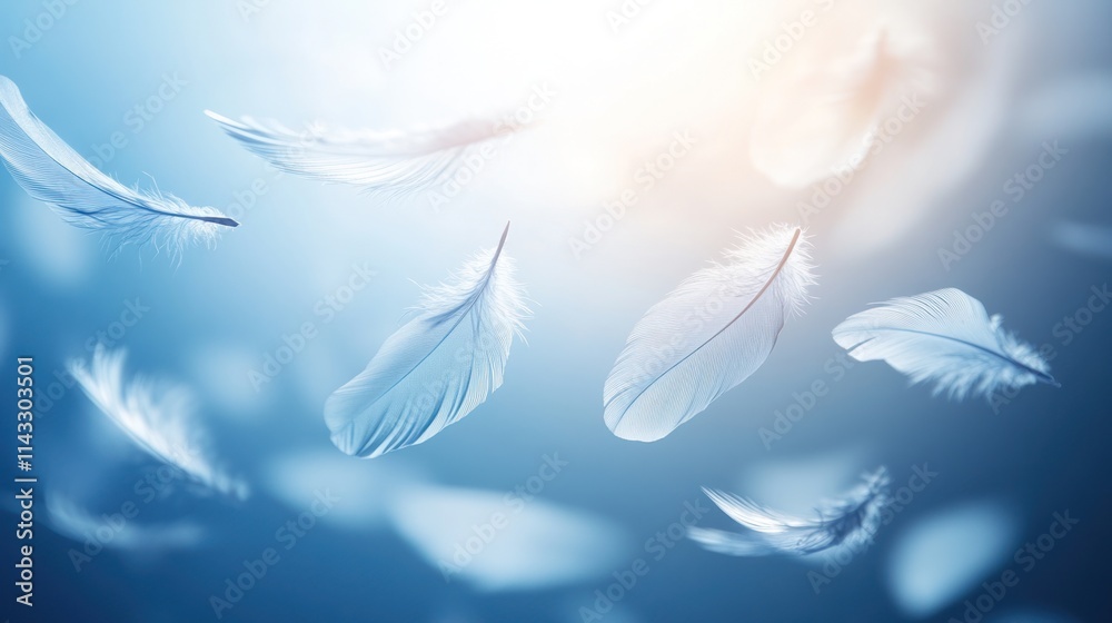 White feathers floating in blue light. White feathers floating in blue light.