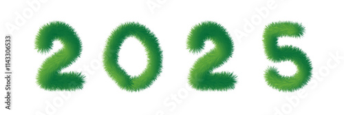 Abstract fluffy year 2025. Isolated on white background. 3D illustration. Furry font for graphic design. Concept conceptual 2025 year made of colorful lawn grass symbol . illustration as a metaphor fo