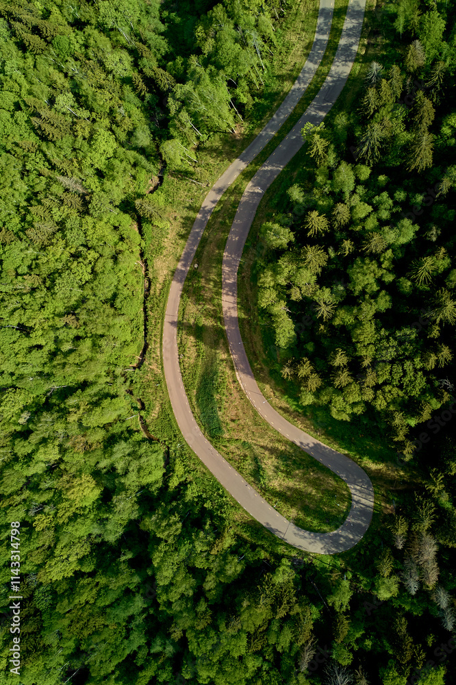 Fototapeta premium Vertical aerial view of a roller ski track in a forest area