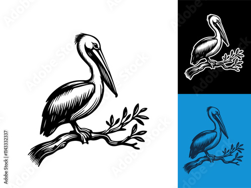 Pelican hand drawn vintage illustration vector