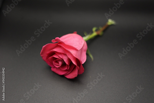 A red rose on a black surface. 