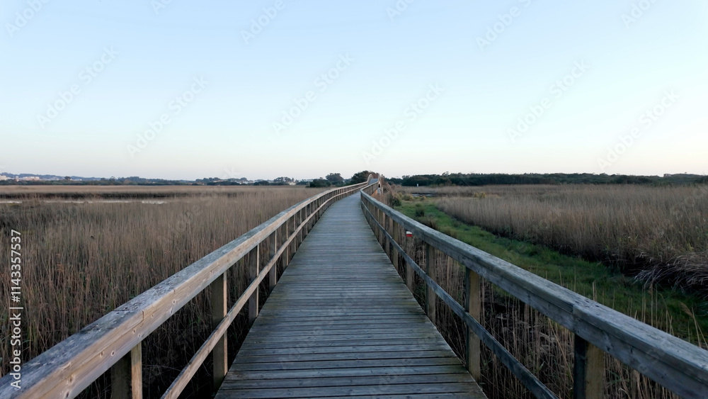 A long wooden boardwalk stretching into the distance, surrounded by tall grass and a clear blue sky A long wooden boardwalk stretching into the distance, surrounded by tall grass and a clear blue sky