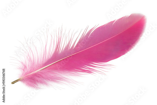 a single pink feather isolated on a transparent background the feather has a delicate. fluffy texture and a soft. pastel pink color it is perfect for adding a touch of elegance and whimsy to any desig
