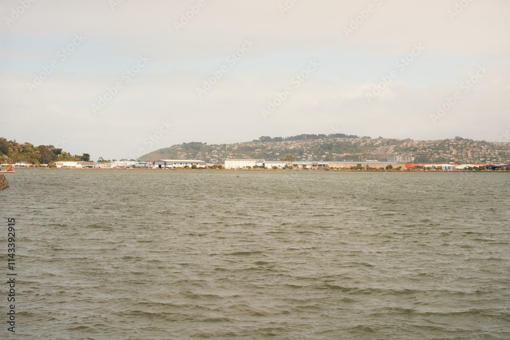 Dunedin Waterfront Skyline on a Cloudy Day, October 2024 Dunedin Waterfront Skyline on a Cloudy Day, October 2024