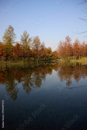 Reflections of autumn trees in a serene pond at Sanlin Riverside City Park