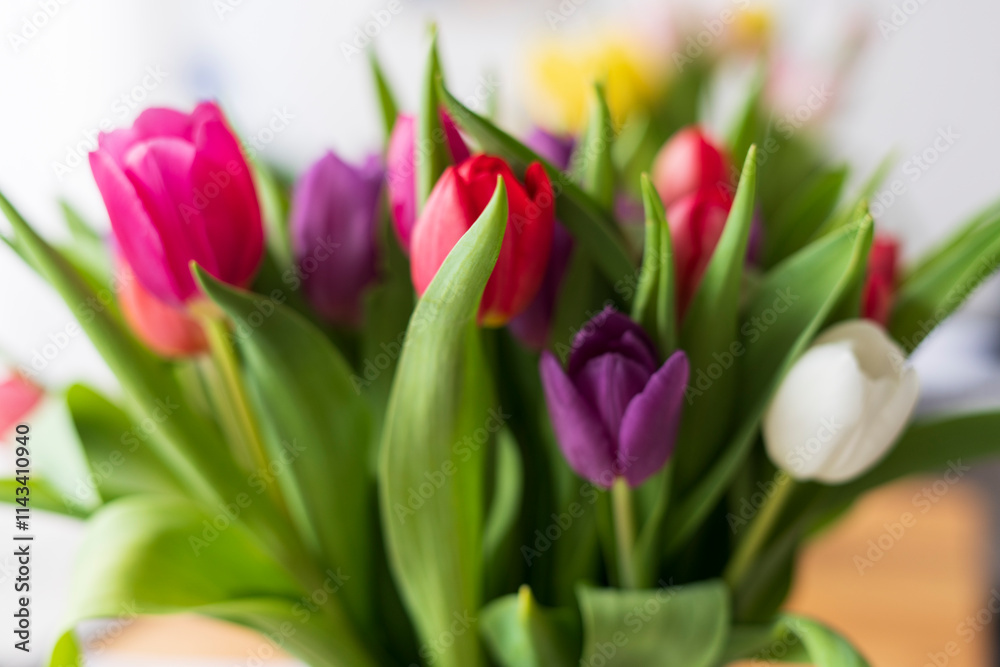 Bouquet of colorful tulips against the background of a large window. Festive spring concept Bouquet of colorful tulips against the background of a large window. Festive spring concept