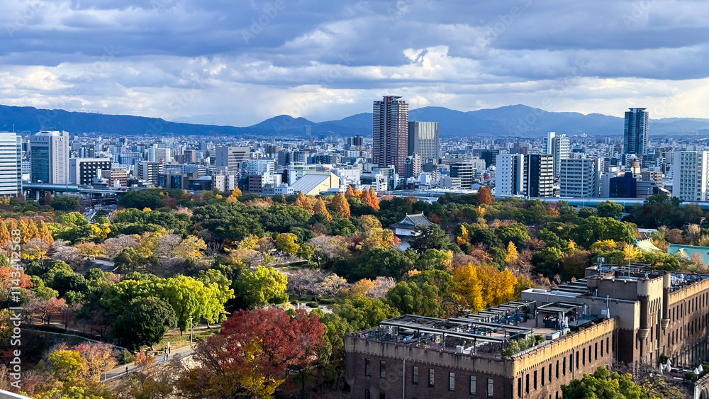 Obraz premium view of the city