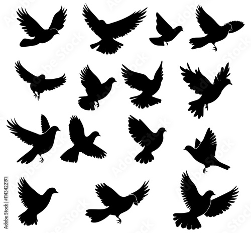 Silhouettes of Flying Birds in Varied Poses and Wing Spreads