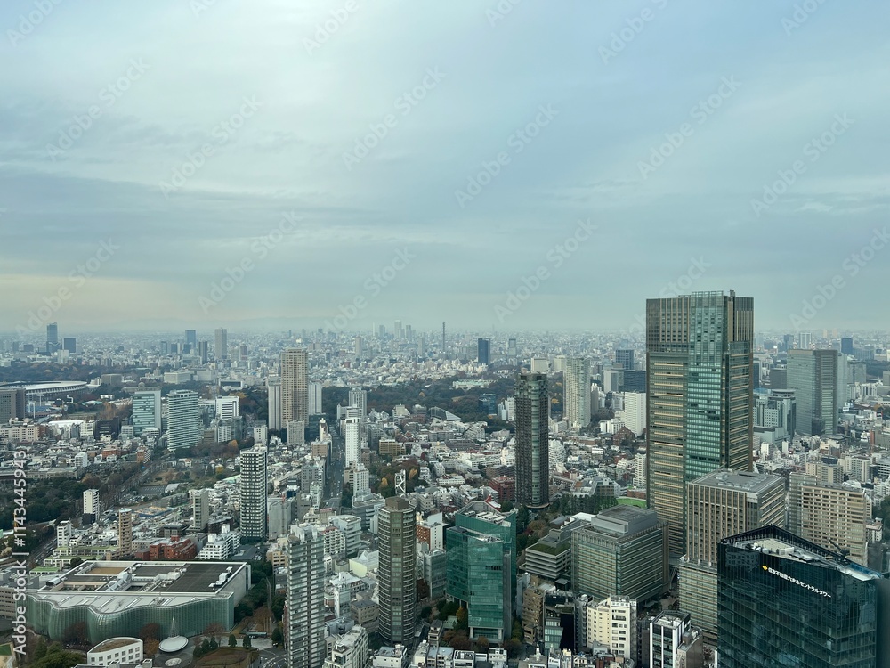 Obraz premium 東京の高層ビルから見下ろした街の風景