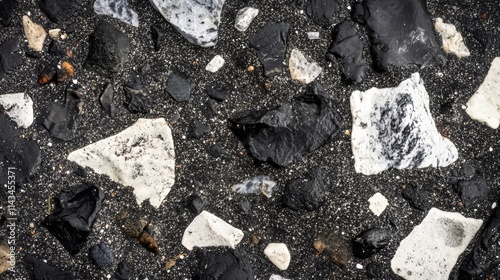 Wallpaper Mural Black and White Volcanic Rocks on a Dark Sand Beach Torontodigital.ca