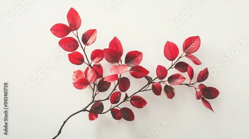 Red Autumn Leaves Branch on White Background