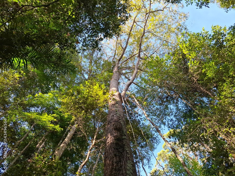 Fototapeta premium Beautiful nature, meadows, streams, cute wildlife.