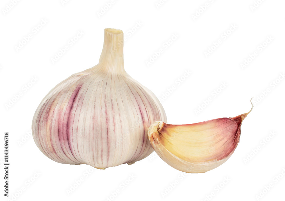 Obraz premium Garlic cloves isolated on transparent and white background.