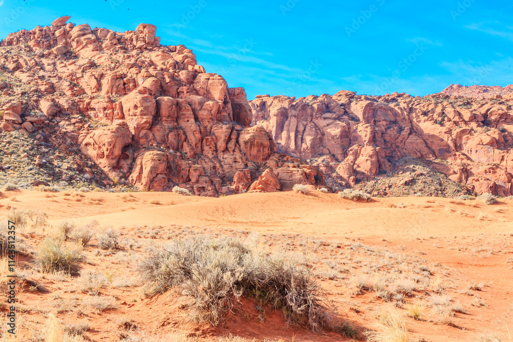 Fototapeta premium A desert landscape with a rocky hillside and a small patch of grass