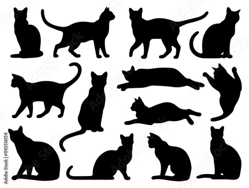 a collection of black cat silhouettes in various dynamic and relaxed poses..eps