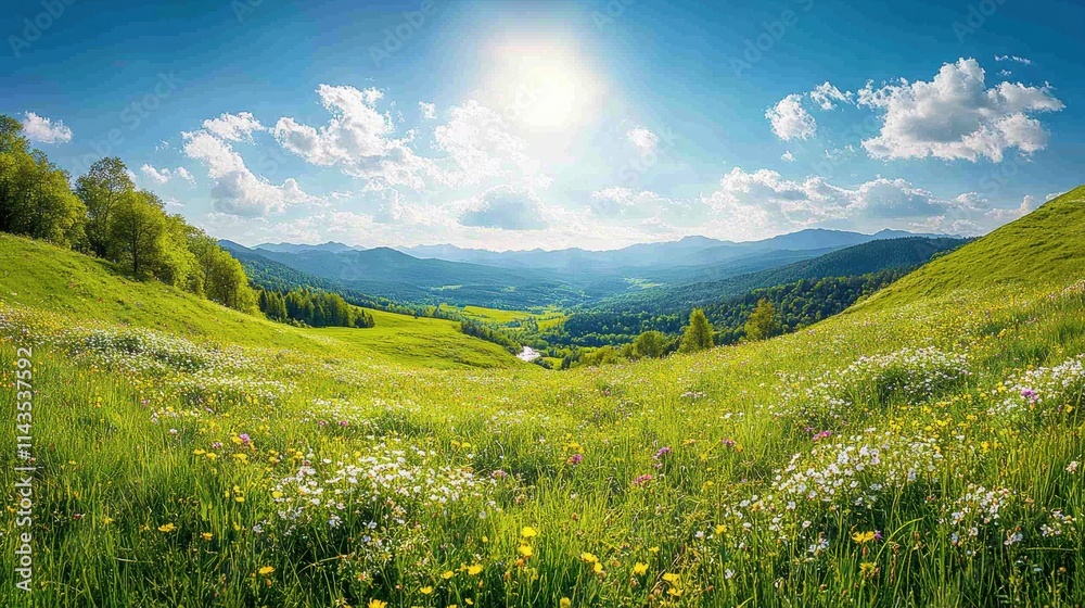 Zoom Virtual Background: Scenic landscape of a sunny meadow with mountains in the background. Sunshine Wallpaper Zoom Virtual Background: Scenic landscape of a sunny meadow with mountains in the background. Sunshine Wallpaper