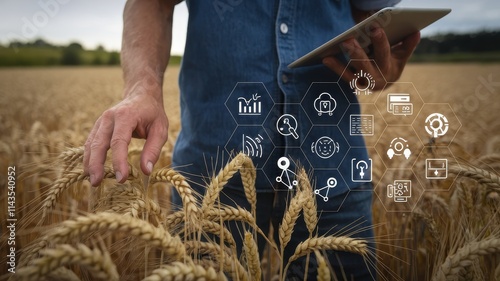 Farmer Using Technology in Wheat Field for Modern Agriculture