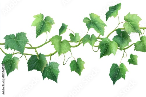 Lush Vine Foliage: A Close-Up of Green Leaves Intertwined with Grapevine in Nature