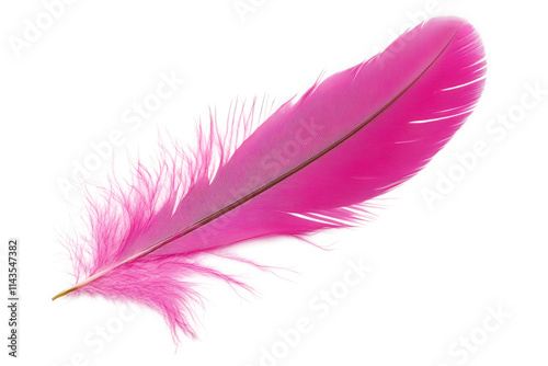 a single pink feather isolated on a transparent background the feather is soft and fluffy with a delicate. intricate pattern it's perfect for adding a touch of elegance and whimsy to your design proje
