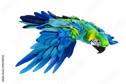 Vibrant Macaw in Flight with Detailed Blue and Green Feathers, Photorealistic Exotic Bird Showcasing Graceful Movement on Transparent Background photo