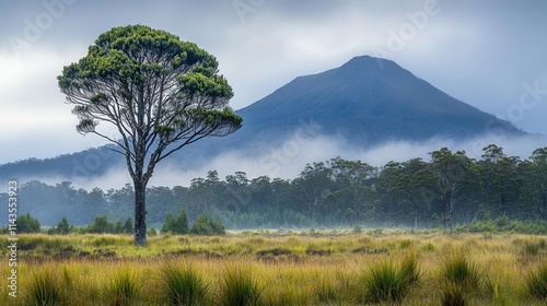 Foggy mountain with a lone peak visible, moody landscape photography, simplicity in nature s drama
