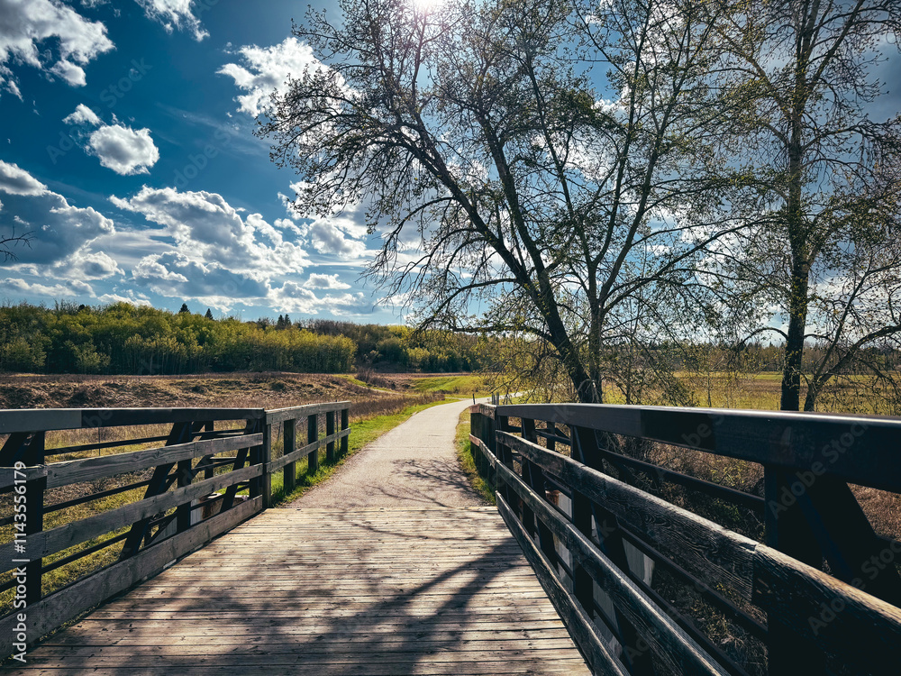 A wooden bridge leads to a sunny path, framed by trees and fields under a blue sky with clouds. A wooden bridge leads to a sunny path, framed by trees and fields under a blue sky with clouds.