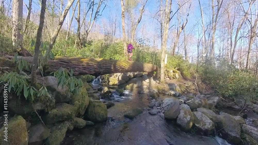 Woman Crosses Stream on Giant Fallen Log in the Smokies