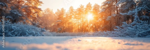 Snow covered trees with sunrays peeking through the branches and glistening off the snowy ground. AI generative. .