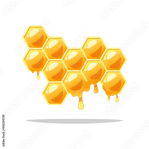 Honeycomb with dripping honey vector isolated on white backrgound.