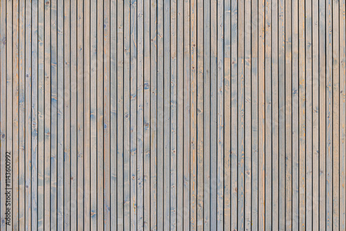 Stylish contemporary wainscoting made of thin gray-toned pine timber planks provides textured backdrop for design