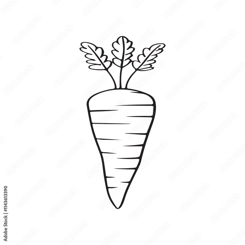 Hand-drawn Illustration of Carrots in Different Shapes Hand-drawn Illustration of Carrots in Different Shapes