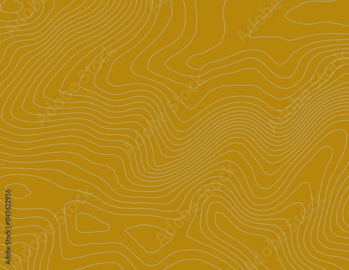 Obraz na płótnie Curvas de nivel, mapa topográfico w salonie