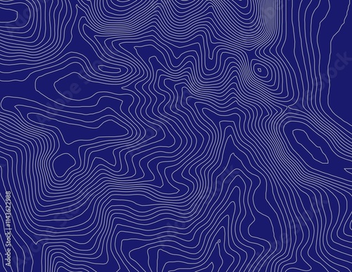 Obraz na płótnie Curvas de nivel, mapa topográfico w salonie