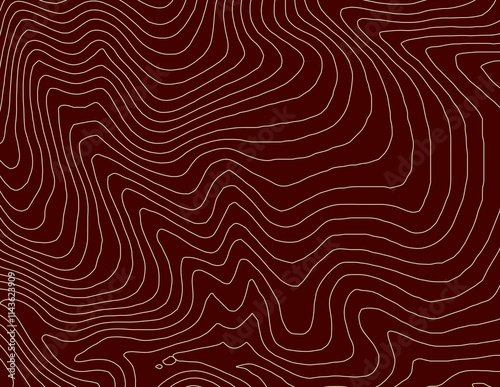 Obraz na płótnie Curvas de nivel, mapa topográfico w salonie