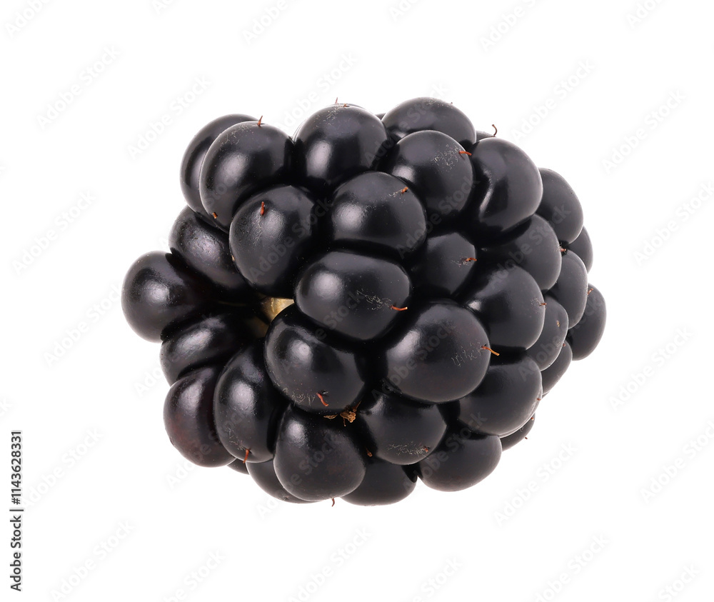 Blackberry isolated, transparent PNG, PNG format, cut out. Blackberry isolated, transparent PNG, PNG format, cut out.