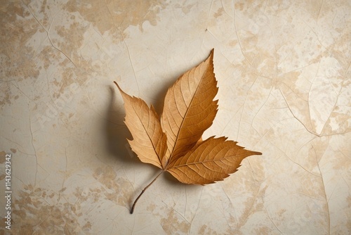 arafed leaf on a beige background with a brown background photo