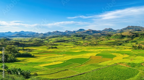 Colorful rice terraces under a clear blue sky with mountains in the background