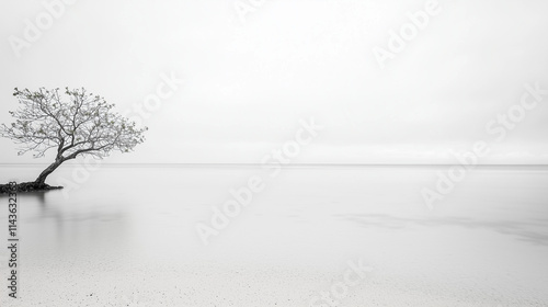 Solitude by the Shore: A lo...