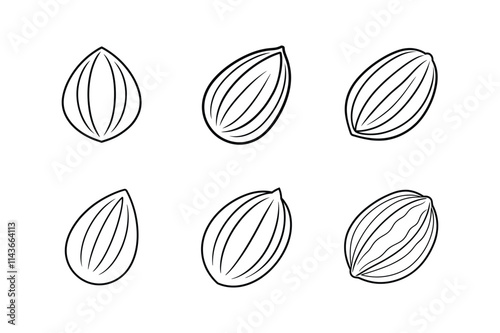 almond icon line art vector illustration