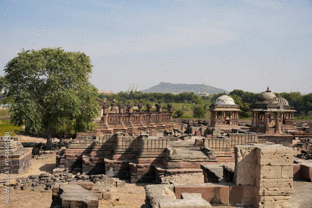 Royal tribute: Rao Lakha Chhatri, jewel of Bhuj