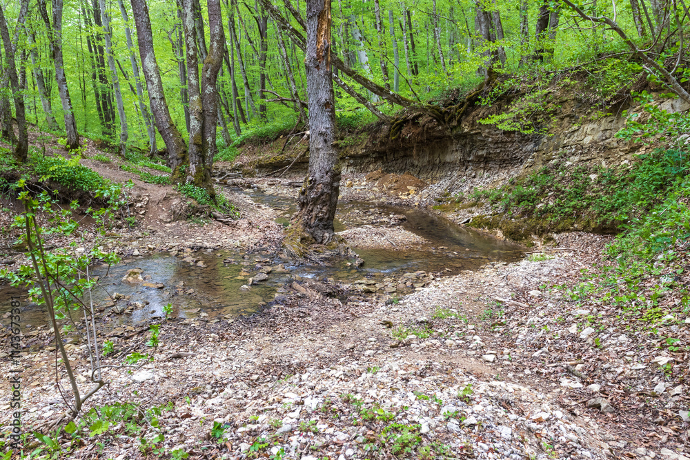 nature park , spring mood, walk through the forest and riverbed with an overview of the area nature park , spring mood, walk through the forest and riverbed with an overview of the area