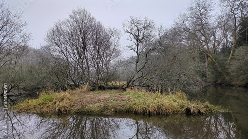 Vue sur le Brivet, canal dans le brouillard (11)